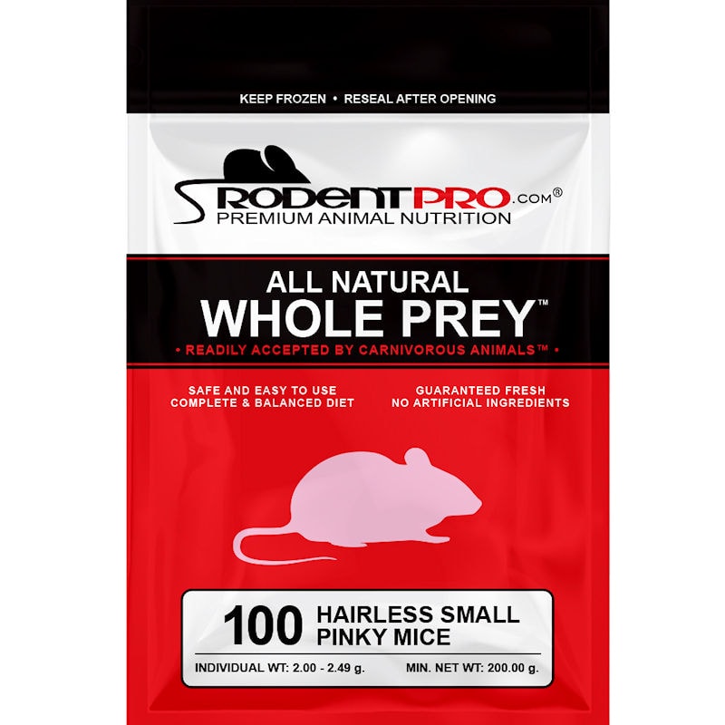 Small Pinky Hairless Mice Purchase 100Count Bag of Small Hairless